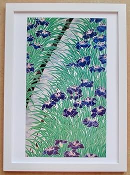 Amazon.co.jp: 福田平八郎「花菖蒲」印刷物 画集画 A4額入り